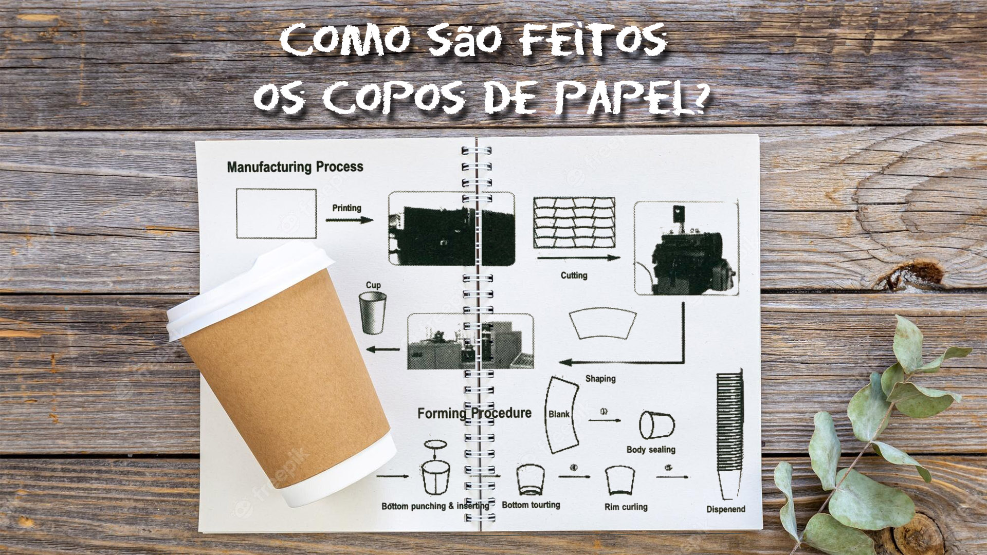 Como são feitos os copos de papel?